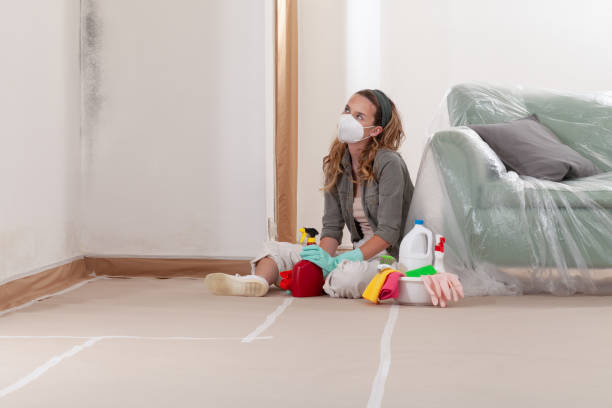 Reliable Mold Removal contractor in Savage, MN by WQB Mold Removal